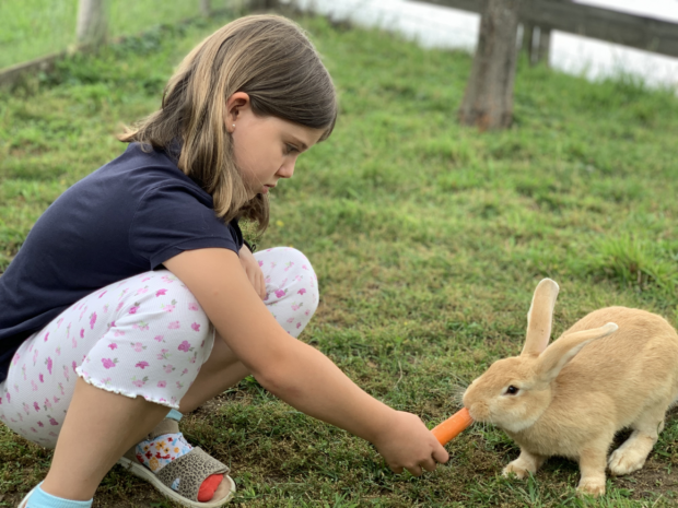 Kind füttert einen Hasen im Garten von Ferienwohnungen Perhofer